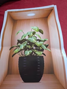 3D Wandaufkleber Hauspflanzen, Wandtattoo Blumen, selbstklebende Wanddekoration Kunden-Foto 3