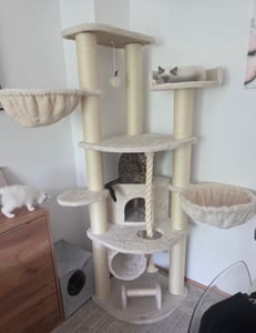 HAPPYPET Großer Kratzbaum Stabil 'Parker' 171 cm - 11 cm Stämme, Große Liegemulden, Kratzrolle, Kletterbaum XXL Katzenbaum für Katzen, Grau Kunden-Foto 6