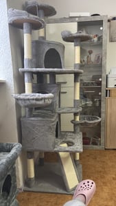 Drapak dla kota 614939 beżowy, 158 cm, wielopoziomowy, beżowy Zdjęcie produktu od klienta nr 12
