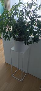 HowHomely Modern Pflanzenständer, Blumenhocker aus Metall Weiß 70 cm Höhe - Blumenständer für das Haus Kunden-Foto 6