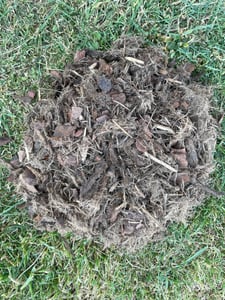Pro Natur Schutz- und Pflegemulch 70l Kunden-Foto 2