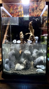 Set completo per acquario PawHut: acquario nano da 36 litri con illuminazione a LED e sistema di filtraggio Foto del cliente 2