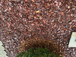 Galamio Rindenmulch Pinie Grob 25-40 mm 60l Kunden-Foto 1