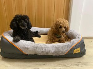 WISFOR Orthopädisch Hundebett Hundesofa Hundecouch Hundekissen große Hunde Schlafplatz, wasserfest waschbar Bezug abnehmbar L: 100x75x19cm Kunden-Foto 15