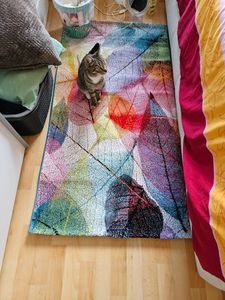 Dywan do salonu, dywan designerski, wzór liści, łatwy w pielęgnacji, kolorowy, wymiary – 140 x 200 cm Zdjęcie produktu od klienta nr 1