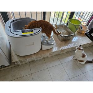 Loupurr Katzentoilette Selbstreinigende elektrische Katzentoilette, großes Fassungsvermögen offenes Design austauschbare Silikonfächer Kunden-Foto 1
