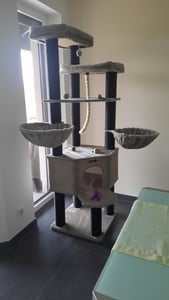 FEANDREA Kratzbaum 186 cm, Katzenbaum für große katzen, 13 dicken Säulen (11 cm d), stabil, Kippschutz, Tintenschwarz Kunden-Foto 5