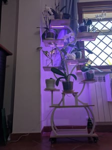 LEADZM Blumenständer mit Wachstumslicht, 8 Ebenen Blumentreppen, 4 Räder，122cm/126.5cm Hoch Pflanzenständer Metall Blumenregal für Indoor Balkon,Weiß Kunden-Foto 2