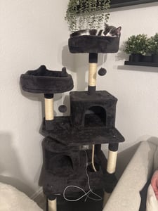 Yaheetech Kratzbaum 181 cm H, mit 2 Katzenhöhlen & 2 Plattformen & 5 Sisalstämmen, großer Katzenkratzbaum stabil, Dunkelgrau Kunden-Foto 2