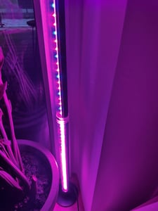 80cm rostlina lampa LED plné spektrum 3 světelné režimy rostlina světla podlahová lampa pokojové rostliny rostou světla s časovačem Fotografie od zákazníka č. 2