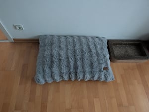 WISFOR Hondenbed, hondenbank, hondenbankje, hondenmand. Pluche, waterdicht, wasbaar. Afneembare hoes. Afmetingen: L: 90 x 60 x 10 cm, grijs Klantenfoto 1