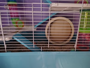 PawHut Kleintierkäfig Nagerkäfig Kleintierstall mit Rampe Laufrad Hellblau+Weiß Kunden-Foto 2