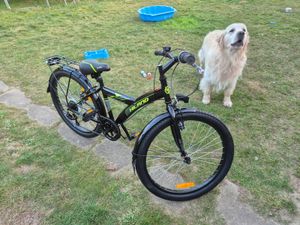 HILAND Rocket 20 Zoll Kinderfahrrad Mountainbike Kinder MTB für Jungen und Mädchen mit Shimano 6 Gang Schaltung Licht Gepäckträger, Weiß Kunden-Foto 4