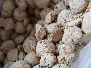 200 boules de suif Lyra Pet® Basic sans filet, 90 g chacune = 18 kg Photo du client 1
