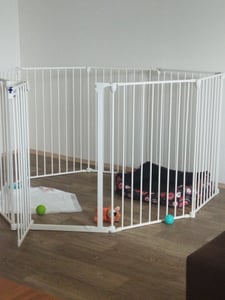 Ohrádka pro štěňata PawHut Skládací ohrádka pro volný výběh s 8 ocelovými panely Fotografie od zákazníka č. 1