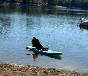 WET-Elements SUP RIDEWAVE 10.6 dunkelblau Kunden-Foto 1