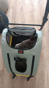 WISFOR Hundebuggy Faltbar, XL Hundewagen für mittelgroße und große Hunde bis 65kg,  Hundeanhänger Hundetasche mit verstellbar Griff Kunden-Foto 15