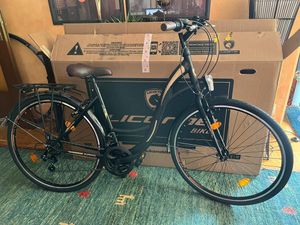 Licorne Bike Stella Premium City Bike 20,24,26 und 28 Zoll Fahrrad für Mädchen Herren und Damen 21 Gang (6 Gang bei 20 Zoll) Holland Citybike Kunden-Foto 1