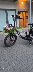 Runetic Ebike, Foldable e-bikes, 250W Motor, 36V 13Ah herausnehmbarer Akku, bis zu 80 km Reichweite, 25 km/h, 20" x 3,0" Breitreifen, Grün Kunden-Foto 10
