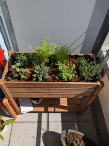 Fepro® Holz-Hochbeet 63L mit Ablage & Vlies – Blumenkasten wetterfest 80x75x36 cm, Pflanzkasten für Garten, Terrasse & Balkon Kunden-Foto 2