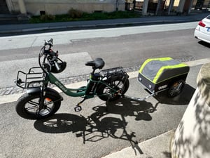 Tiggo VS Cargo I Lastenanhänger Fahrradanhänger Trailer Transportanhänger Kunden-Foto 2