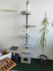 Yaheetech Kratzbaum Katzenbaum 226cm-265cm deckenhoch, höhenverstellbar, mit Sisalstämmen, Dunkelgrau Kunden-Foto 3