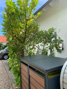 Mülltonnenbox Müllbox Mülltonnenverkleidung 2 Türen Anthrazit mit Holzdekor Box Kunden-Foto 10