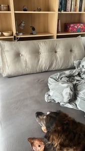 Velký ergonomický polštářek na opěrku hlavy sametový klínový polštářek, polštářek na čtení, klínový polštářek, zádový polštářek, odpočinkový polštářek, dekorativní polštářek Fotografie od zákazníka č. 2