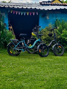 HillMiles E Bike, E-Bike Klapprad mit 36V 13Ah Akku bis zu 80-100km, 20 *3.0 Zoll, 7-Gang SHIMANO, 250W Motor & 25km/h MilePort 1 Kunden-Foto 1