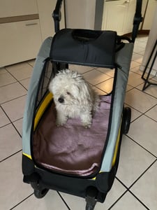 WISFOR Hondendragbak, opvouwbaar, XL hondenwagen voor middelgrote en grote honden tot 65 kg, met verstelbare handgreep Klantenfoto 6