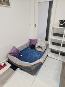 WISFOR Orthopädisch Hundebett Hundesofa Hundecouch Hundekissen große Hunde Schlafplatz, wasserfest waschbar Bezug abnehmbar L: 100x75x19cm Kunden-Foto 24