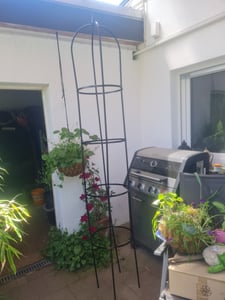 ABC Home Rankhilfe Obelisk 240 cm H Kunden-Foto 1