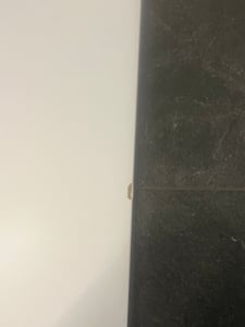 BDW, Waschmaschinenschrank Badezimmer Möbel, 180×64×64, Pola Twin, Eiche Artisan Kunden-Foto 1