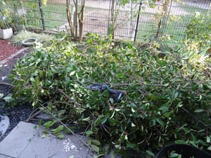 6+8 Zoll Akku-Kettensäge,Bürstenloser Motor Baumsäge, 2in1 Handsäge mit 2x2000mAh akku + Ladegerät, Mini Elektro Kettensäge, für Garten Holzschneiden Kunden-Foto 1