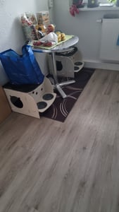 Zoofari Katzenhaus Katzenbett Kuschelhöhle Kissen inkl. Futterstation Kunden-Foto 2
