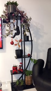 Tribesigns Blumenständer, 2 Stück Pflanzenregal mit 5 Ebenen und 2 Haken, 160cm Hoch Pflanzenständer Metall Blumenregal für Indoor Balkon(Mattschwarz) Kunden-Foto 3