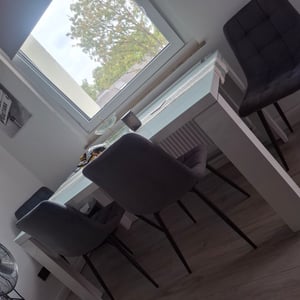 DEULINE Esszimmerstühle Essstühle Samtbezug Polsterstuhl Stühle Esszimmer Stuhl Milano 4er-Set HELLGRAU 521255 Kunden-Foto 7