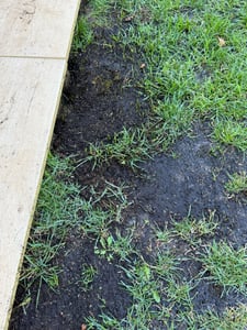 60 x 40L Plantaflor Plus Rasenerde, 60 x 40L, Spezial Erde für Rasen Neuanlagen und Ausbesserungen mit Quarzsand und Rasendünger Kunden-Foto 1