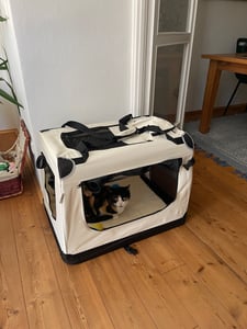Přepravní taška pro psa Lassie 26936, skládací přepravní box s rukojetí a dekou, 34 x 50 x 36 cm Fotografie od zákazníka č. 2