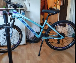 26 Zoll ALU Damen MTB Gefedert mit 21-Gang Shimano Daumenklickkettenschaltung , Scheibenbremsen NEU 2670-Lila-Pink, AB 155 CM KÖRPERGRÖSSE Kunden-Foto 2