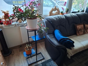 Korrosionsbeständiger Etagen-Pflanzenständer, platzsparender Blumenständer in Dunkelgrau, lackiert - POTSTAGE Kunden-Foto 2