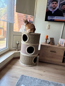 PawHut Kratztonne 49 cm hoch Ø35,5 cm zweistöckige Katzentonne Plüsch Sisal Kunden-Foto 1
