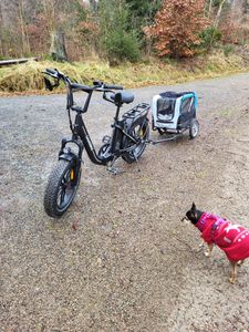 Für das E Samebike 