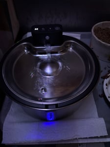 Katzenbrunnen, 3.2L Edelstahl Trinkbrunnen für Katze Kabellos Leise Trinkbrunnen, Wasserbrunnen für Katzen Hunde mit Automatisch, mit 6 Filters Kunden-Foto 1