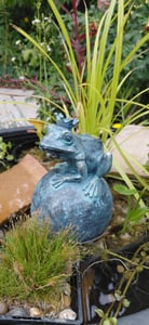Seehund Wasserspeier solarbetrieben – Teichfigur mit Solarpumpe & Wasserspiel – Gartendeko aus Polyresin in Bronze-Optik – 30 × 23 × 20 cm – Solarteichfigur für Gartenteich & Wasserlauf Kunden-Foto 1