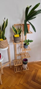 WISFOR Blumentreppe Bambus Blumenständer mit 4 Ablagen Holzregal Blumenregal Blumentopf Ständer Deko Garten Balkon Kunden-Foto 4