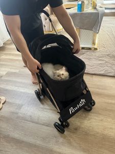 Pawhut PawHut wózek dla psa również z funkcją gondoli D00-166V00 Zdjęcie produktu od klienta nr 5
