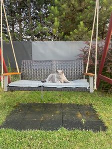 Altalena in vimini per 2 persone in rattan PE con schienale ricurvo, adatta all'uso esterno, cavi robusti, portata 360 kg, per terrazza, cortile, giardino, balcone Foto del cliente 1