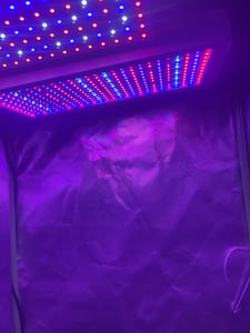 45w 144leds Pflanzenlampe Led Vollspektrum, Uv Pflanzen Grow Lampe Grow Light Pflanzenlicht, Anzuchtlampe Licht Für Pflanzen Blüte Anzucht Gewächshaus Kunden-Foto 2