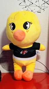 SKZOO Plüschfigur Stray Kids BBOKARI – Plüschtier Huhn Felix CHICKEN Kunden-Foto 1